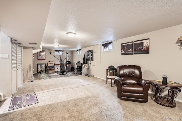 13558 E Center Ave, Aurora, CO 80012 - living area with a textured ceiling, carpet floors, and baseboards