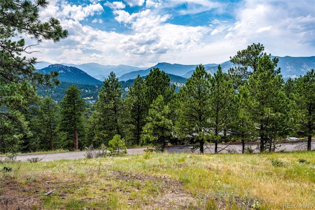 3876 Ridge Rd, Evergreen, CO 80439 - photo 1