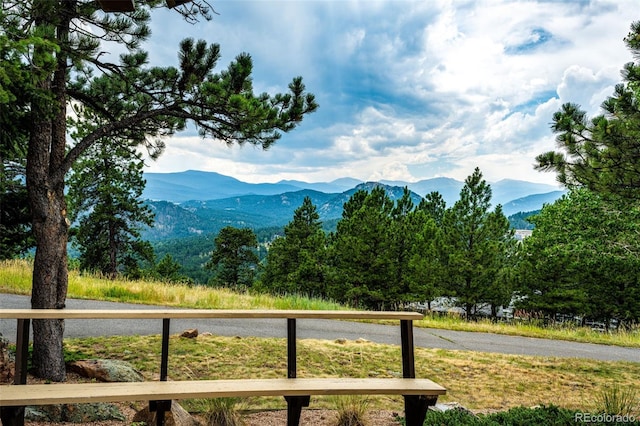 3876 Ridge Rd, Evergreen, CO 80439 - photo 2