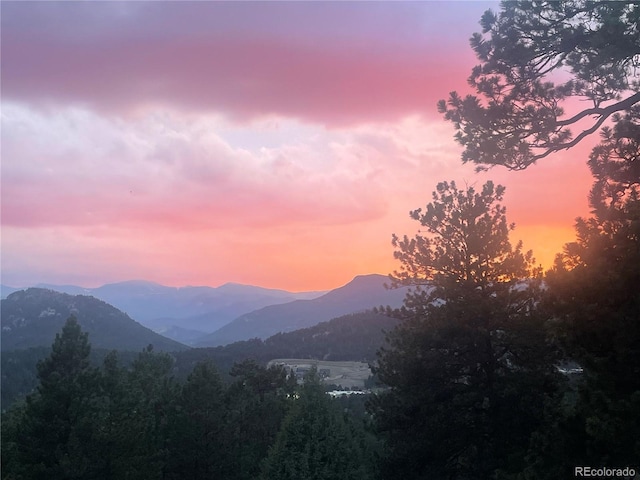 3876 Ridge Rd, Evergreen, CO 80439 - photo 3