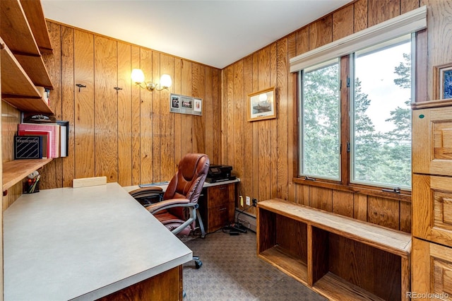 3876 Ridge Rd, Evergreen, CO 80439 - photo 31