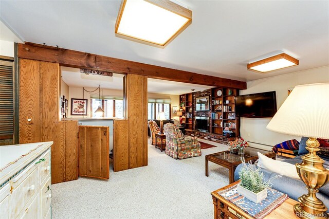 3876 Ridge Rd, Evergreen, CO 80439 - photo 36