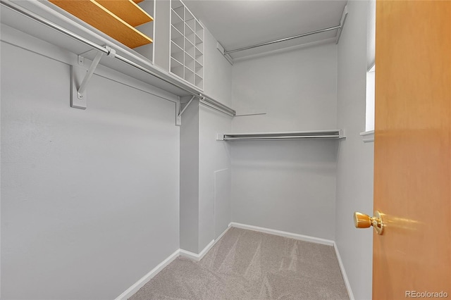 walk in closet with carpet