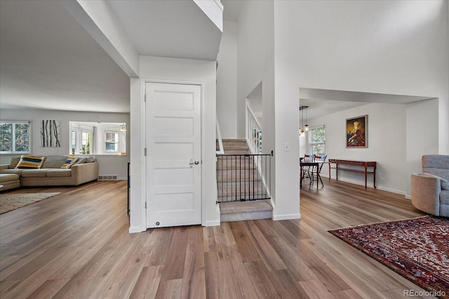 foyer entrance with hardwood / wood-style flooring