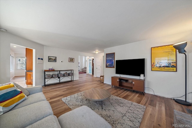 living room featuring hardwood / wood-style floors