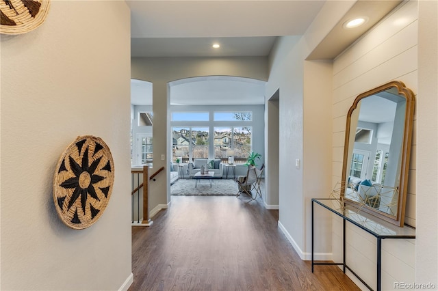 hallway featuring dark hardwood / wood-style flooring and a healthy amount of sunlight