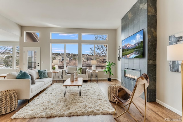 living room featuring a fireplace and wood-type flooring