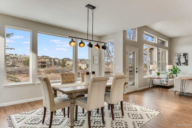 dining space featuring a healthy amount of sunlight and light hardwood / wood-style flooring