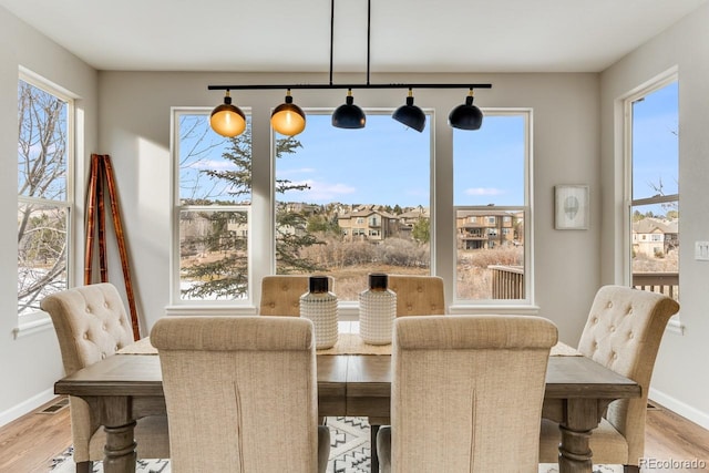 dining area featuring light hardwood / wood-style floors and a healthy amount of sunlight