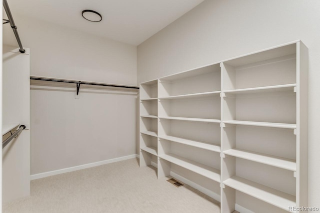 spacious closet with light carpet