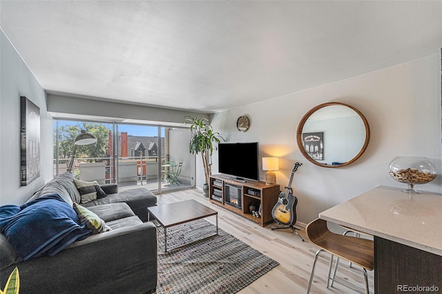 living room featuring light wood-type flooring