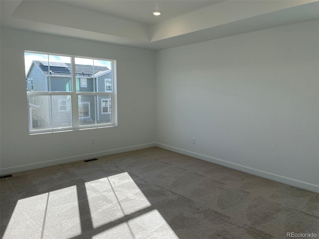 carpeted spare room featuring a raised ceiling