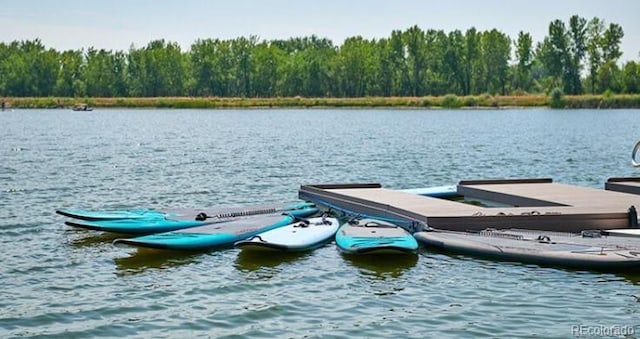 dock area featuring a water view