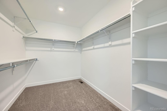 spacious closet featuring carpet flooring