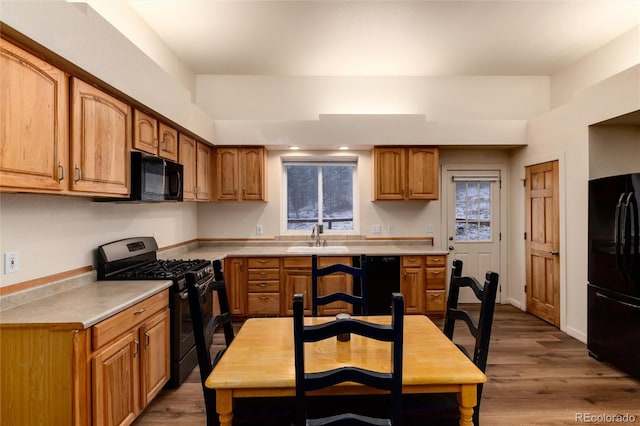 kitchen featuring hardwood / wood-style floors, sink, and black appliances