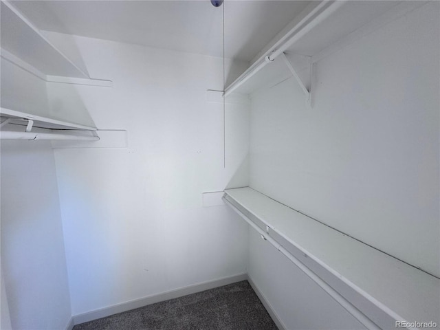 4382 S Xenon St, Morrison, CO 80465 - walk in closet featuring carpet floors