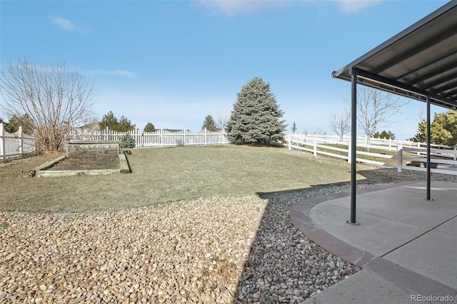 view of yard featuring a patio and a fenced backyard