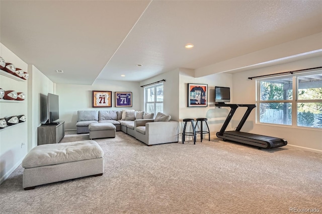 living room featuring carpet floors and plenty of natural light