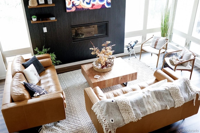 living room with hardwood / wood-style floors