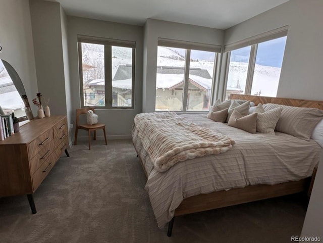 bedroom with dark colored carpet