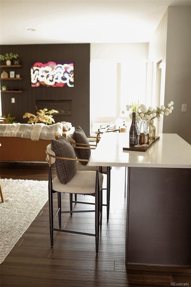 dining room featuring dark hardwood / wood-style flooring