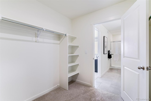 spacious closet featuring light colored carpet