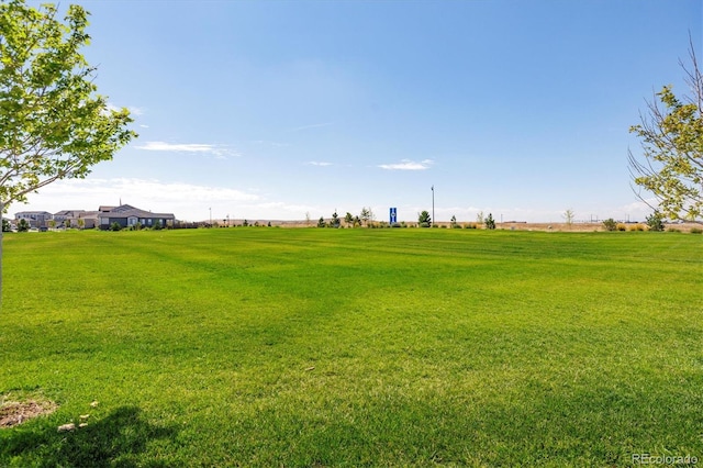 view of yard with a rural view