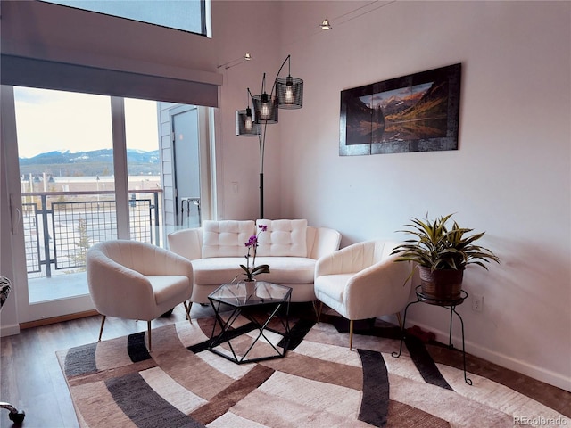 living room featuring hardwood / wood-style floors and a mountain view