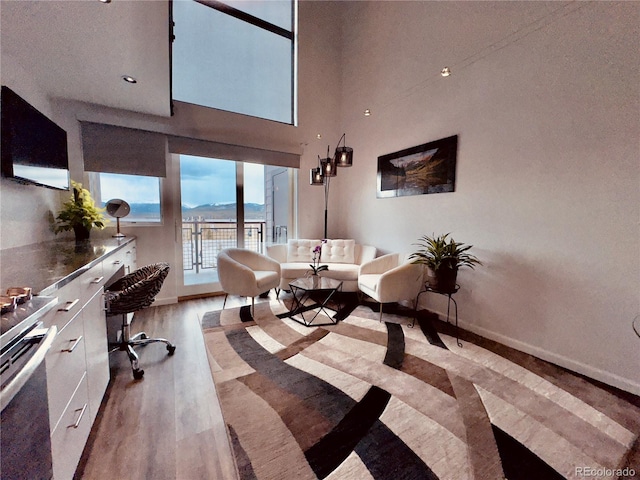 office featuring light hardwood / wood-style floors, a high ceiling, and a mountain view