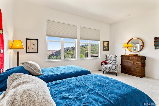 bedroom with carpet floors