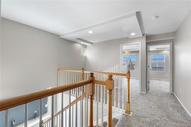 4477 Walden Way, Denver, CO 80249 - photo 8