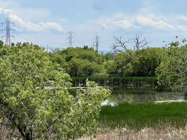 4178 E 94th Pl, Thornton, CO 80229 - view of nature