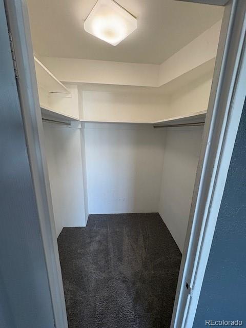 1121 Albion St Unit 906, Denver, CO 80220 - photo 11