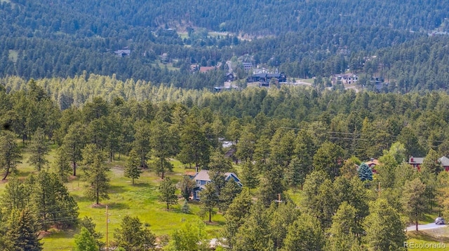 5939 S Skyline Dr, Evergreen, CO 80439 - aerial view of a forest