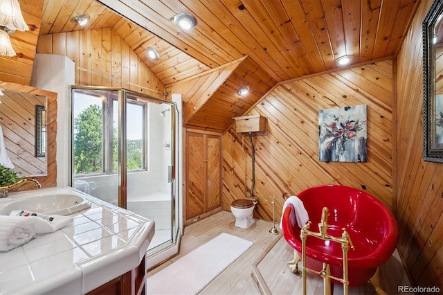 5939 S Skyline Dr, Evergreen, CO 80439 - full bath featuring wooden walls, lofted ceiling, wood finished floors, a stall shower, and vanity
