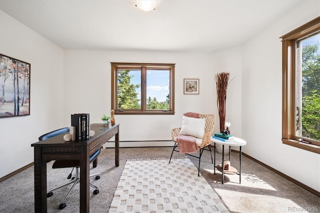 5939 S Skyline Dr, Evergreen, CO 80439 - carpeted office with baseboard heating and healthy amount of natural light