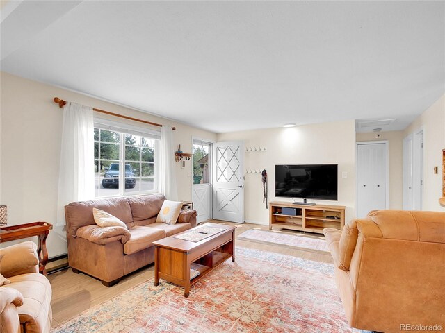 194 Tincup Ter, Bailey, CO 80421 - living room featuring light wood finished floors and a baseboard radiator
