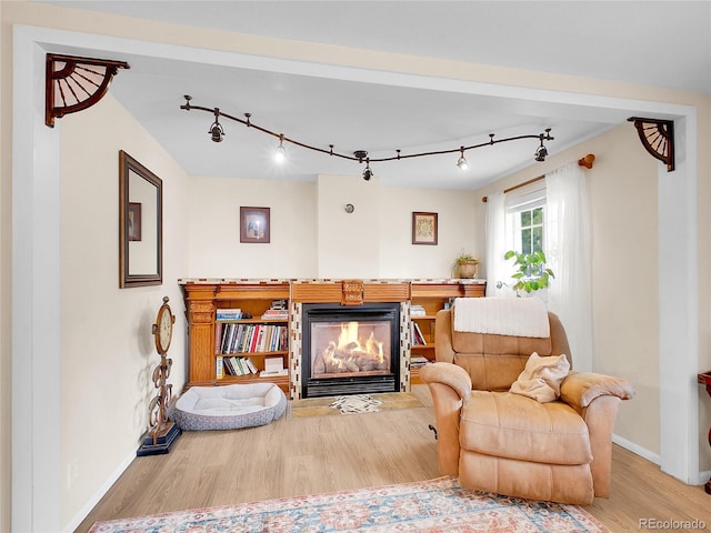 194 Tincup Ter, Bailey, CO 80421 - sitting room featuring a glass covered fireplace, wood finished floors, and rail lighting