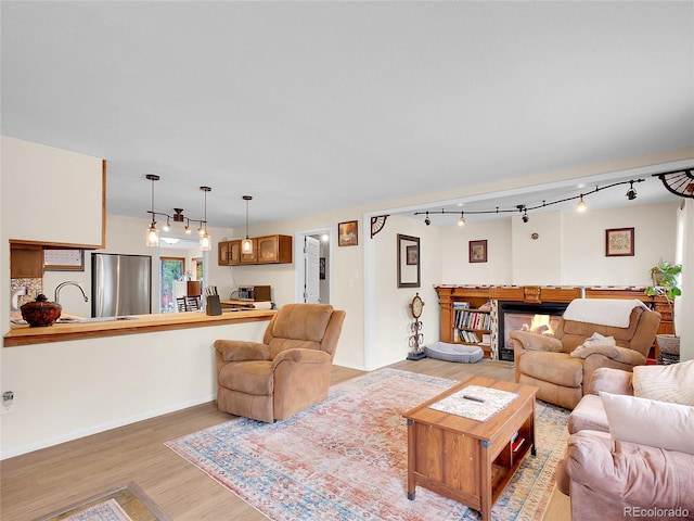 194 Tincup Ter, Bailey, CO 80421 - living room featuring rail lighting, light wood-style flooring, and a multi sided fireplace