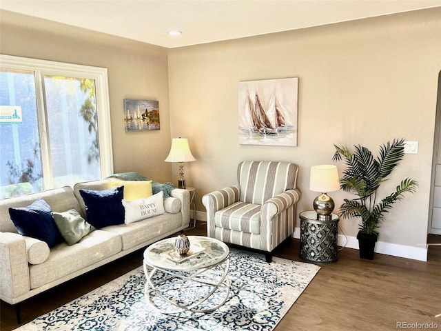 living room featuring hardwood / wood-style flooring