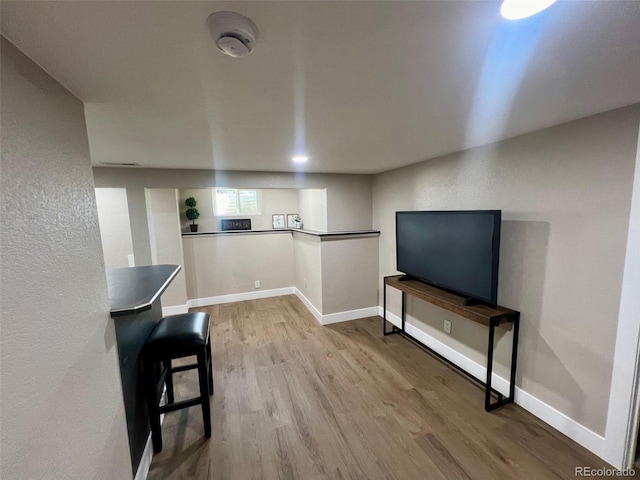 living room with hardwood / wood-style flooring