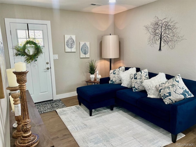 living room featuring hardwood / wood-style flooring