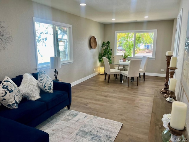 living room with hardwood / wood-style flooring and plenty of natural light