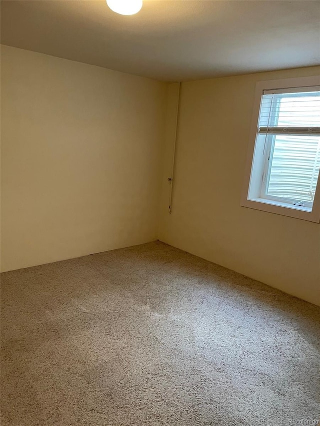 spare room with carpet