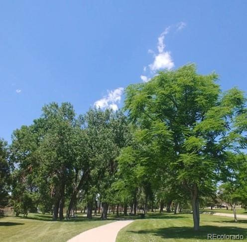 view of home's community with a lawn