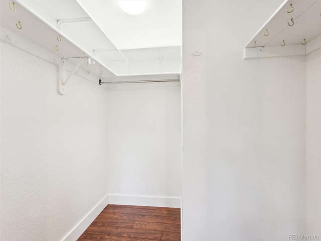 walk in closet featuring dark wood-type flooring