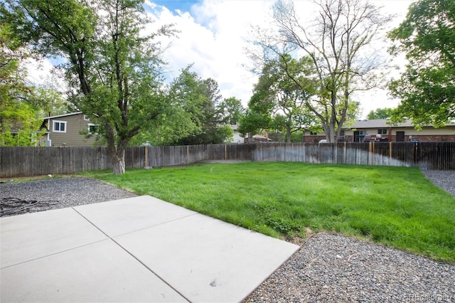 7695 S Harlan St, Littleton, CO 80128 - view of yard with a patio area