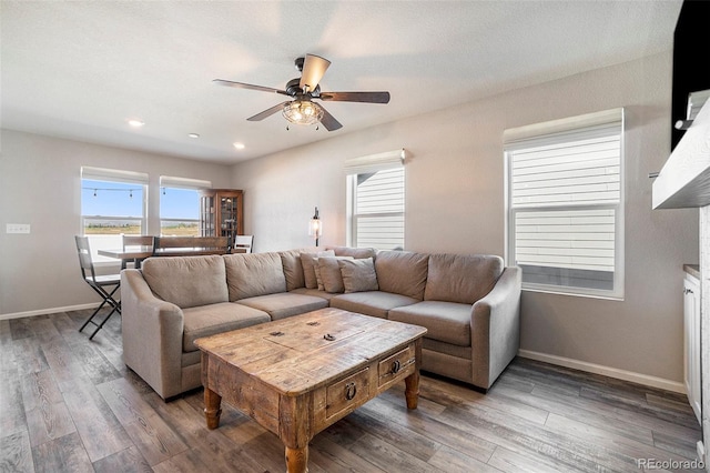 living room featuring ceiling fan, a wealth of natural light, and hardwood / wood-style floors