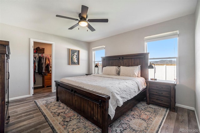 bedroom with ceiling fan, a walk in closet, a closet, and dark hardwood / wood-style floors