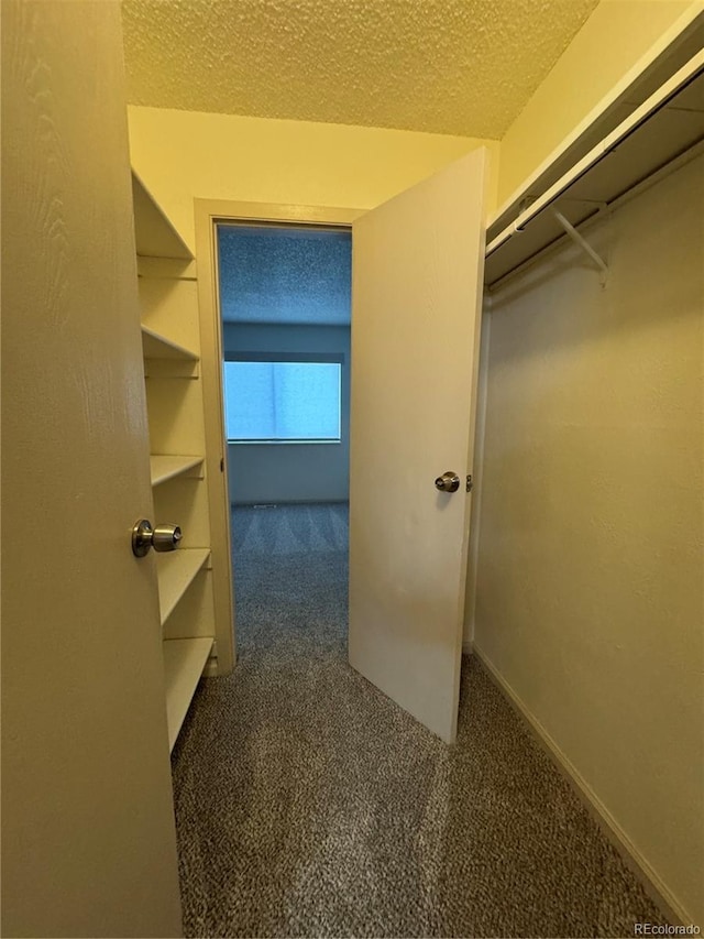 walk in closet with dark carpet